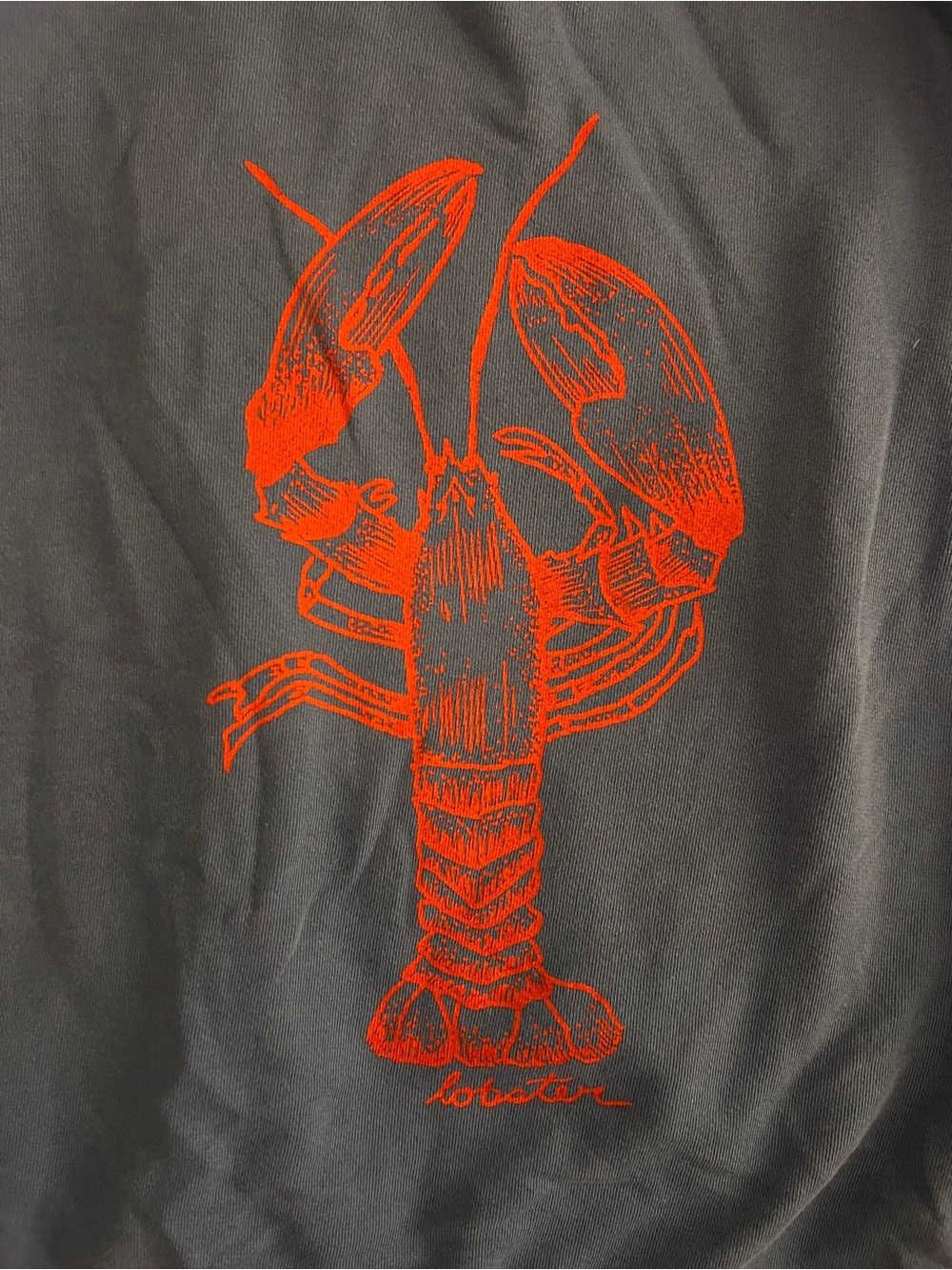 We The Free Lobster Graphic Camden Pullover - Picture 7 of 7